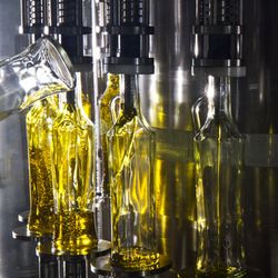 el_renieris_greek_olive_oil_bottling_plant_4