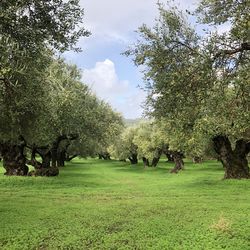IMG_1838_2